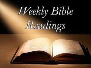 weekly bible