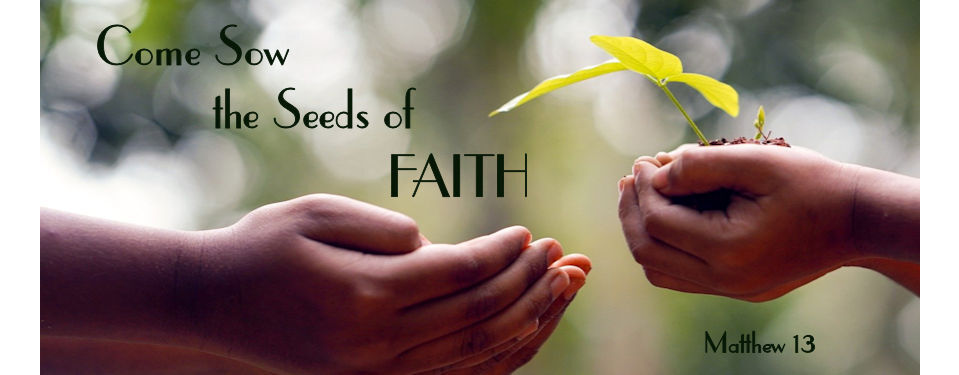 Seed of faith 3