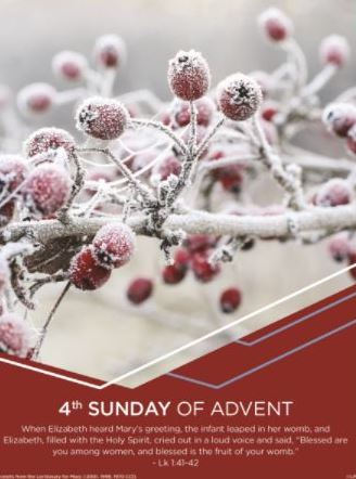 bulletincoverA12.19.21