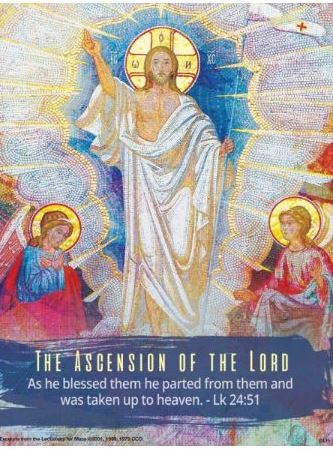 fr.xavierhomilycover05.29.22