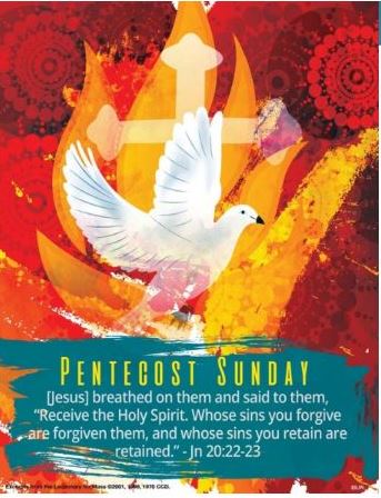 fr.xavierhomilycover06.05.22