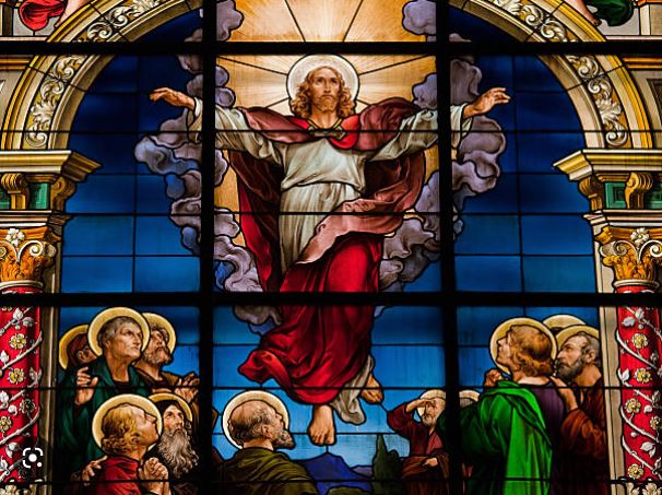 fr.xavierhomilycover04.09.23