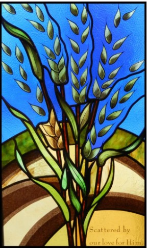 fr.xavierhomilycover07.16.23