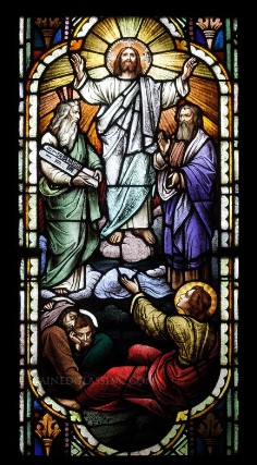 fr.xavierhomilycover08.06.23