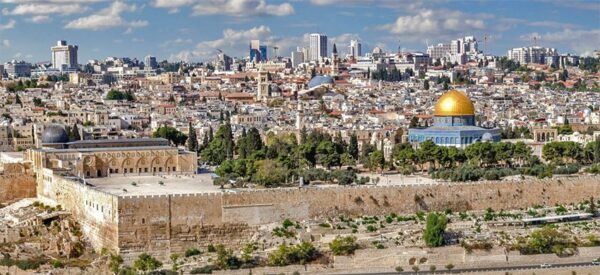 72725202 2469189569842888 6470014416313122816 n