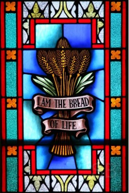 fr.xavierhomilycover08.04.24