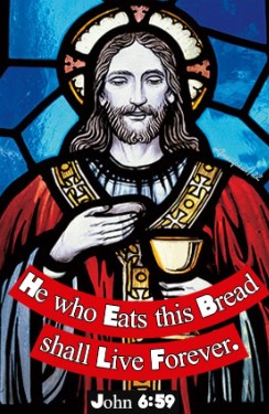 fr.xavierhomilycover08.18.24