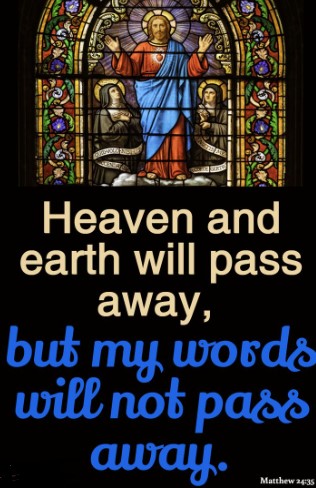 fr.xavierhomilycover11.17.24