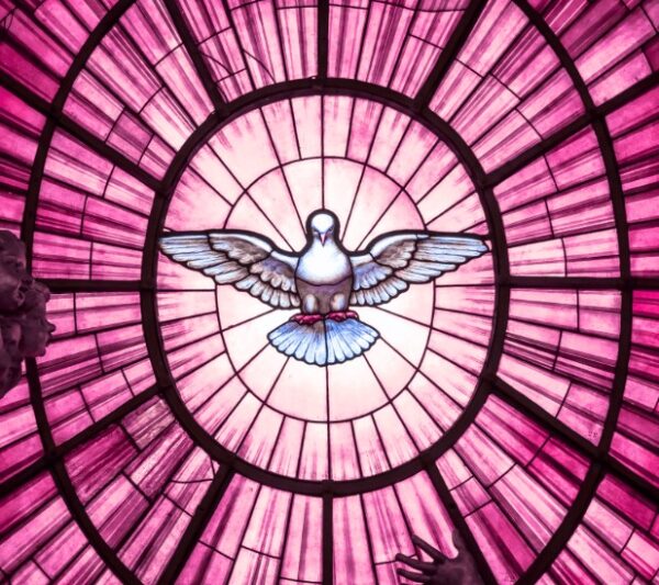 fr.xavierhomilycover12.15.24