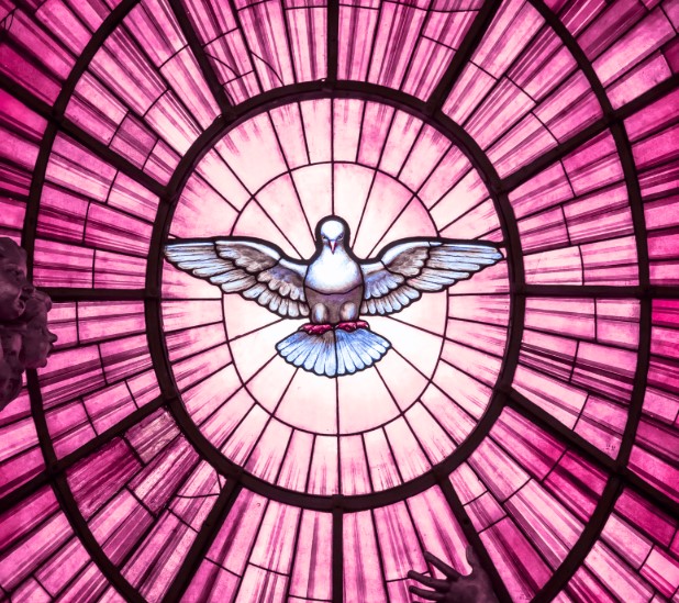 fr.xavierhomilycover12.15.24