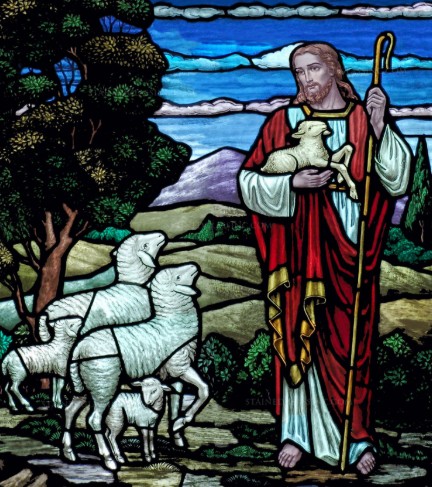 fr.xavierhomilycover05.11.25