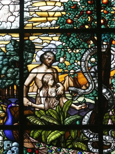 fr.doxhomilycover02.22.26