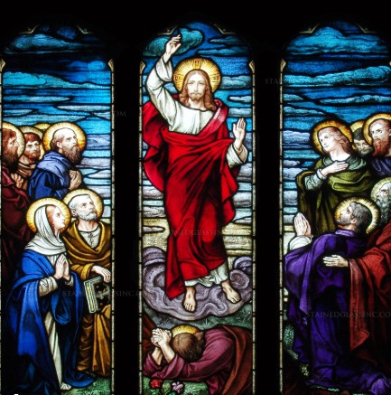 fr.doxhomilycover05.17.26